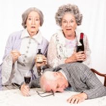 Meadow Brook Theatre Presents ARSENIC AND OLD LACE