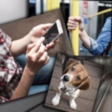 Redtwist Theatre Presents I SAW MY NEIGHBOR ON THE TRAIN AND I DIDN'T EVEN SMILE