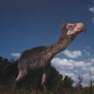 Smithsonian Channel to Premiere Two-Hour Special TOP TEN DEADLIEST BEASTS