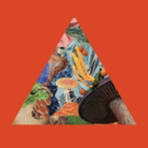 Modest Mouse Share I'M STILL HERE Photo