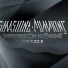 Grammy Winning Alternative Rockers SMASHING PUMPKINS Recreate Famous SIAMESE DREAM…
