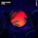 David Guetta & SIA Reunite with FLAMES After Hits TITANIUM and BANG MY HEAD