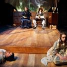 BWW Review: Survival in the Shadow of the Plague: Mad Horse Theatre's Searing ONE…