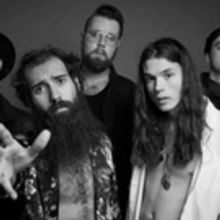 Rainbow Kitten Releases New Single HIDE from Upcoming Album