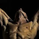 BWW REVIEW: A Chain Of Carnal Connection Across The Classes Come Together In f**kING…
