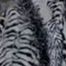 THE NEVERENDING STORY Now On Stage In Stratford