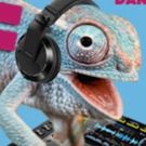 Ethnic Chameleons Bring RE:MIX to The Green Room