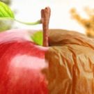 APPLE SEASON Announced As New Jersey Repertory Company Mainstage Production
