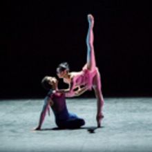 BWW Review: PROJECT POLUNIN - SATORI, London Coliseum