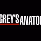 ABC Renews GREY'S ANATOMY For Season 15