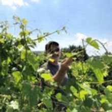 A WINEMAKER'S SPIRITUAL JOURNEY-Jeff Morgan and Why the Best Kosher Wine has Dual Cit