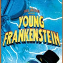 San Diego Musical Theatre Shares Cast and Creative of YOUNG FRANKENSTEIN