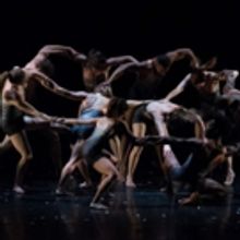 2nd Annual Dance Union Festival Brings Together Dance Fans Of All Ages