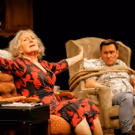 BWW Review: BENEATH THE BLUE RINSE, Park Theatre