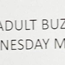 BWW Previews: Showcasing the 2018 Adult BookExpo Buzz Panel Finalists