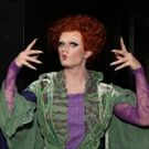 In the Spotlight: Jay Armstrong Johnson Puts a Spell on Feinstein's/54 Below as 'Winifred Sanderson'