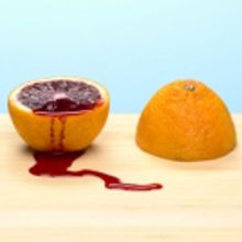 Hampstead Theatre Announces THE PHLEBOTOMIST By Ella Road As Its Next Main Stage Show