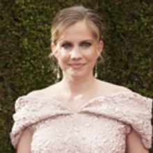 Anna Chlumsky, Becky Ann Baker, Adam Pally and More to Star in CARDINAL at Second Sta