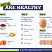 Pete and Gerry's Organic Eggs Says What the FDA Won't Say: Eggs. Are. Healthy.