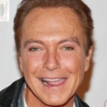 Playwright Chip Deffaa Remembers Music and Television Star David Cassidy