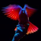 Albie Selznick's MONDAY MAGIC Extends at Santa Monica Playhouse Thru Oct. 1
