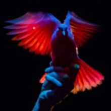 Albie Selznick's MONDAY MAGIC Extends at Santa Monica Playhouse Thru Oct. 1