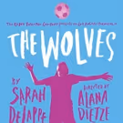 L.A. Premiere of THE WOLVES Comes to Echo Theater Company
