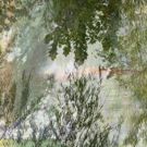 Artist Elizabeth Chiles Highlights Texas Landscape in Solo Exhibition This Summer