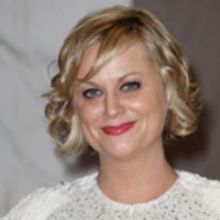 Netflix Announces Film WINE COUNTRY With Amy Poehler To Direct, Star and Produce