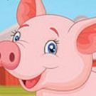 BWW Review: CHARLOTTE'S WEB at Rochester Association Of Performing Arts