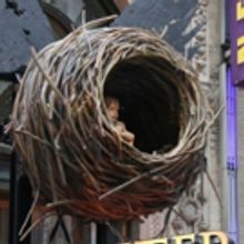 HARRY POTTER AND THE CURSED CHILD Australia On Sale This Week