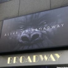 The Actors Fund to Host Screening of KING KONG Featuring Creative Team of Musical