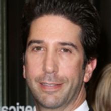 David Schwimmer to Special Guest Star on NBC's WILL & GRACE