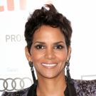 Halle Berry to Direct and Star in MMA Drama BRUISED