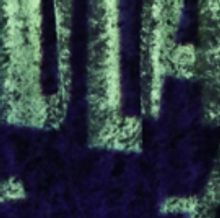 Birdland Presents The Django Reinhardt Festival Allstars And More Week Of November 5