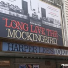 Meet the Cast of TO KILL A MOCKINGBIRD- Now in Previews!