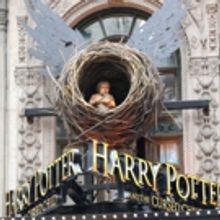 Bid to Win Two House Seats to HARRY POTTER AND THE CURSED CHILD
