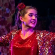 Gulfshore Playhouse Awarded a $17,000 Grant from Community Foundation of Collier Coun