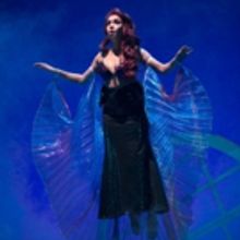 BWW Review: THE LITTLE MERMAID at the Warner Theater