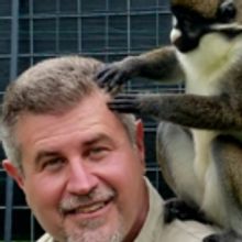 Wild World Of Animals To Present Two Shows In April, With a Pet Food Drive