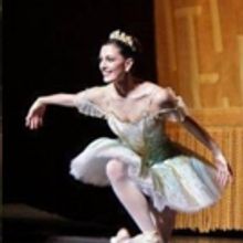 Fadeyev Ballet Presents Classical Ballet For A Modern Audience