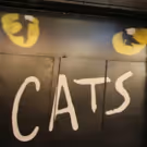 CATS On Sale At Broadway In Austin