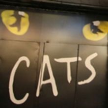CATS On Sale At Broadway In Austin