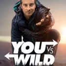 VIDEO: Netflix to Launch New Interactive Series YOU VS. WILD with Bear Grylls