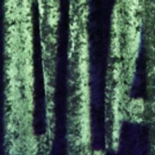 Birdland Presents Catherine Russell And More Week Of February 11