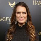 CW Pilot GLAMOROUS Casts Ben J. Pierce As Lead, Joining Brooke Shields
