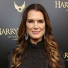 CW Pilot GLAMOROUS Casts Ben J. Pierce As Lead, Joining Brooke Shields