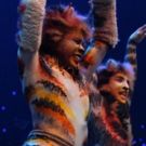 National Tour of CATS Plays Record-Breaking Engagement In Denver