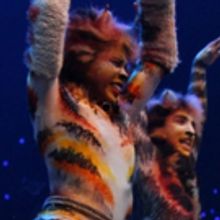National Tour of CATS Plays Record-Breaking Engagement In Denver