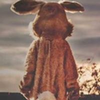 BWW Review: WHERE ALL GOOD RABBITS GO at Thrown Stone Theatre Company Photo